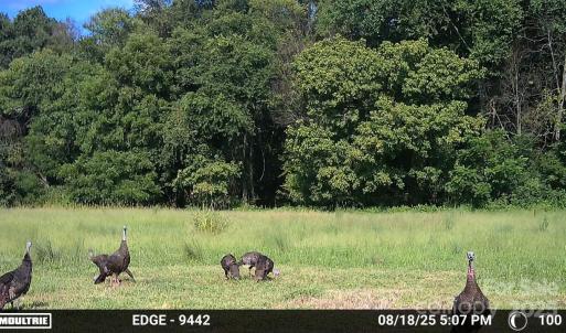 Photo #24 of Hasty, Marshville, NC