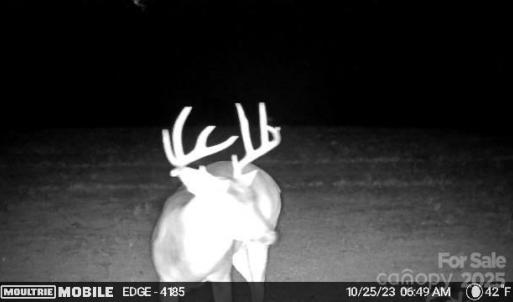 Photo #28 of Hasty, Marshville, NC