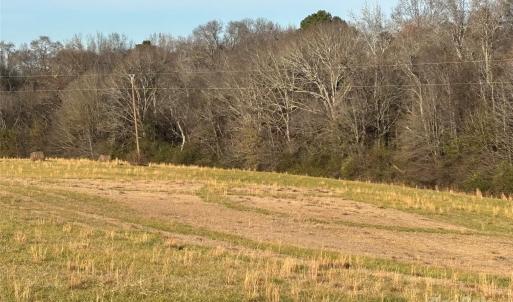 Photo #9 of Hasty, Marshville, NC