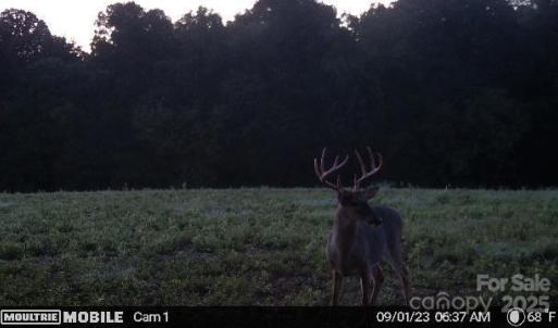 Photo #29 of Hasty, Marshville, NC