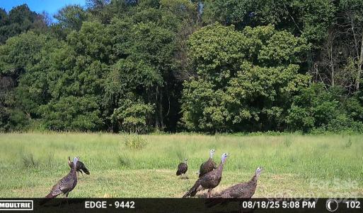 Photo #23 of Hasty, Marshville, NC