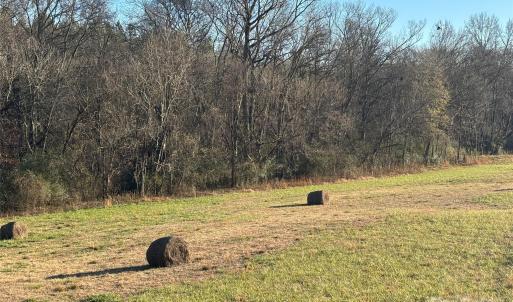 Photo #3 of Hasty, Marshville, NC