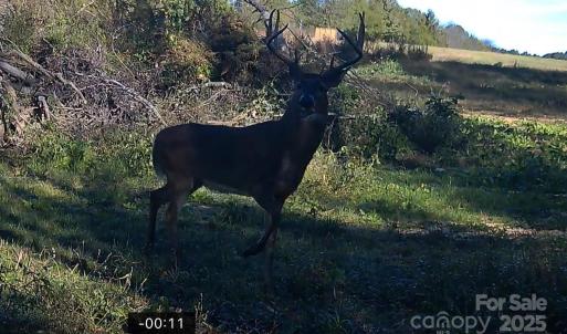 Photo #22 of Hasty, Marshville, NC