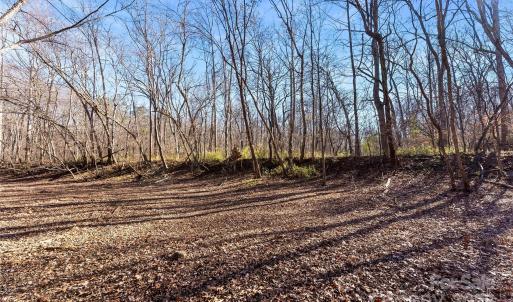 Photo #4 of 9999 Oakridge, Lake Wylie, SC