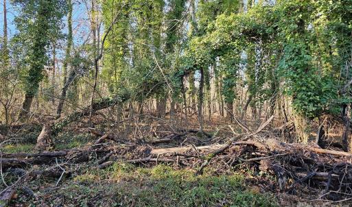 Photo #10 of 212 Main, Richburg, SC