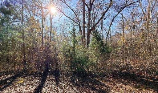 Photo #2 of Lot 24 Avalon, Lancaster, SC