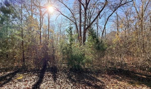 Photo #1 of Lot 24 Avalon, Lancaster, SC