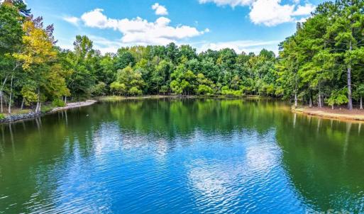 Photo #1 of Sandlapper, York, SC