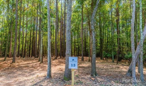 Photo #2 of Sandlapper, York, SC