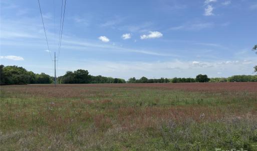 Photo #6 of 6 Rogers, Bennettsville, SC