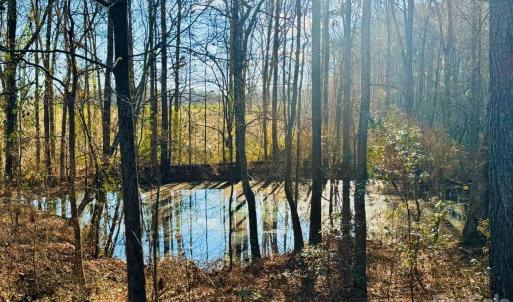 Photo #6 of 665 Hwy 145, Chesterfield, SC