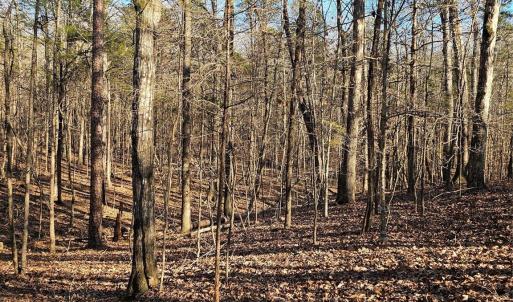 Photo #2 of 7000 John Furr, Concord, NC