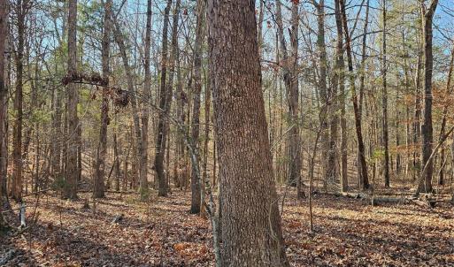 Photo #15 of 7000 John Furr, Concord, NC