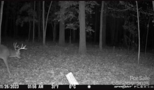 Photo #24 of 7000 John Furr, Concord, NC