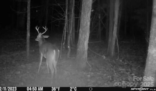 Photo #23 of 7000 John Furr, Concord, NC