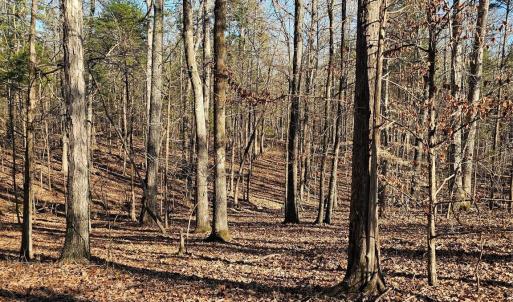 Photo #12 of 7000 John Furr, Concord, NC