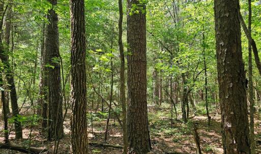 Photo #19 of 7000 John Furr, Concord, NC