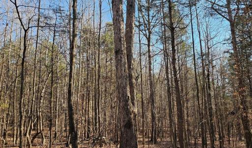 Photo #14 of 7000 John Furr, Concord, NC