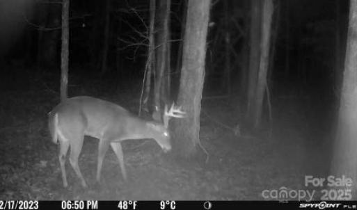 Photo #22 of 7000 John Furr, Concord, NC