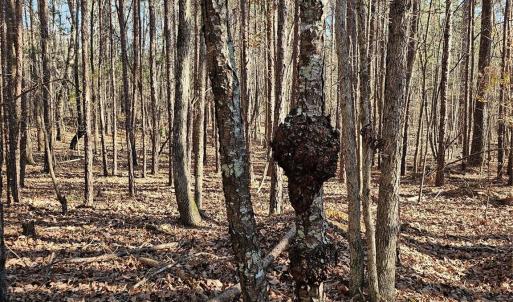 Photo #8 of 7000 John Furr, Concord, NC