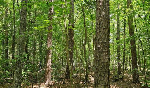 Photo #20 of 7000 John Furr, Concord, NC