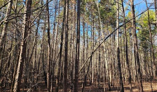 Photo #10 of 7000 John Furr, Concord, NC