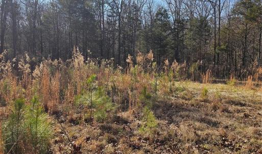 Photo #17 of 7000 John Furr, Concord, NC