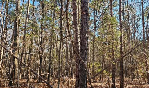 Photo #9 of 7000 John Furr, Concord, NC