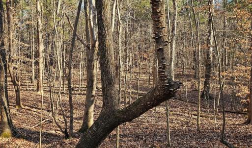 Photo #1 of 7000 John Furr, Concord, NC