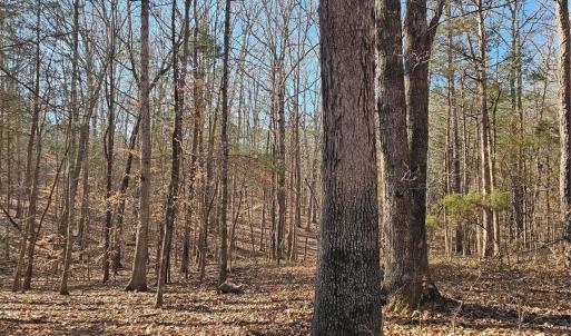 Photo #13 of 7000 John Furr, Concord, NC