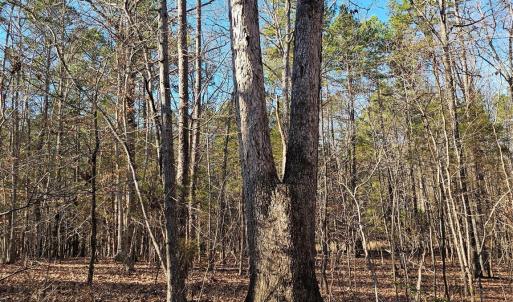 Photo #11 of 7000 John Furr, Concord, NC