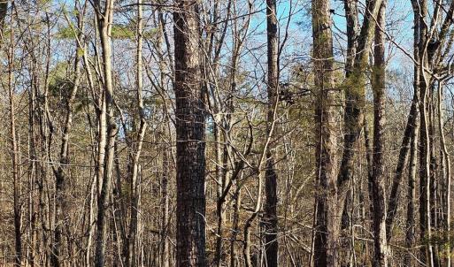 Photo #7 of 7000 John Furr, Concord, NC