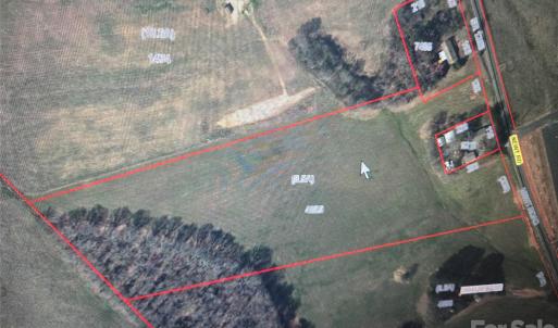 Photo #3 of Newt, Albemarle, NC