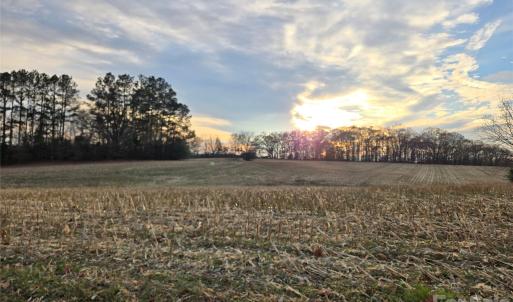 Photo #2 of Newt, Albemarle, NC