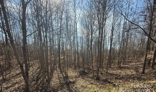 Photo #8 of 10+/-AC Ramah Church, York, SC