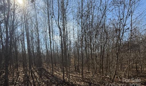 Photo #7 of 10+/-AC Ramah Church, York, SC