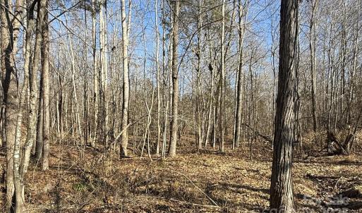 Photo #16 of 10+/-AC Ramah Church, York, SC