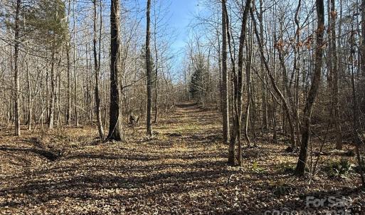 Photo #21 of 10+/-AC Ramah Church, York, SC