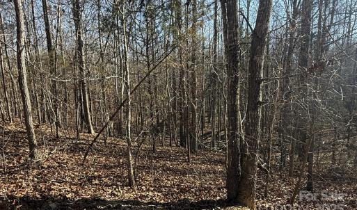 Photo #13 of 10+/-AC Ramah Church, York, SC