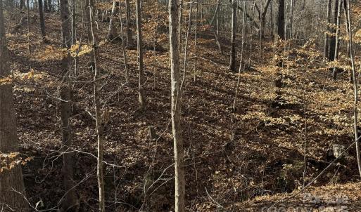 Photo #19 of 10+/-AC Ramah Church, York, SC