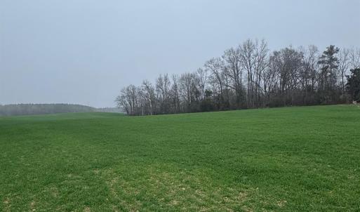 Photo #3 of Philadelphia Church, Marshville, NC