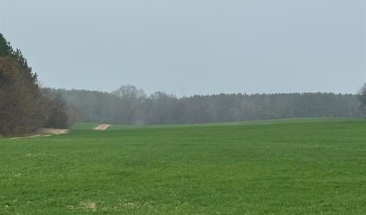 Photo #7 of Philadelphia Church, Marshville, NC