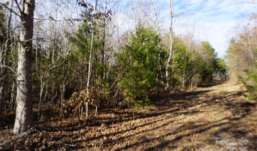 Photo #12 of 14+/-AC Canipe, York, SC