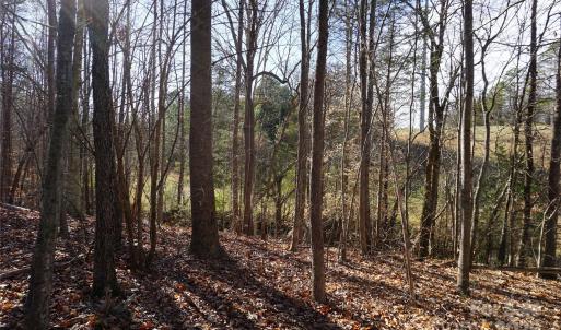 Photo #10 of 14+/-AC Canipe, York, SC