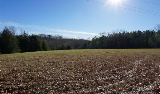 Photo #7 of 14+/-AC Canipe, York, SC