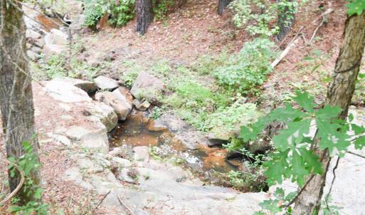 Photo #21 of 101 +/- AC Woods Ferry, Carlisle, SC