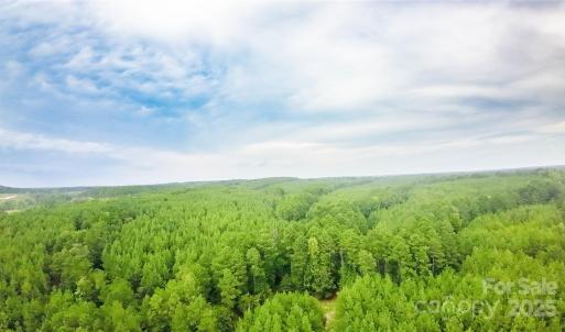 Photo #14 of 101 +/- AC Woods Ferry, Carlisle, SC