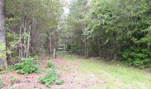 Photo #27 of 101 +/- AC Woods Ferry, Carlisle, SC