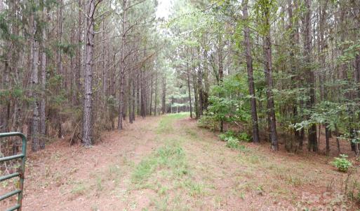 Photo #22 of 101 +/- AC Woods Ferry, Carlisle, SC