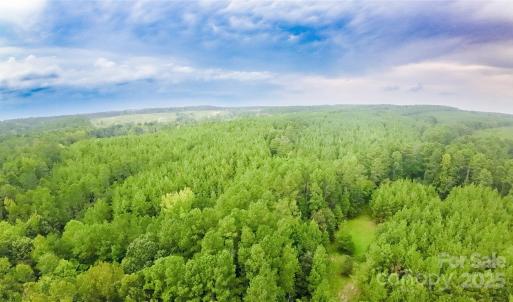 Photo #13 of 101 +/- AC Woods Ferry, Carlisle, SC